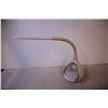 Image 2 : Ottlite Lamp (works)