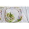 Image 2 : Royal Albert Plate set in carrying case