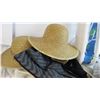 Image 3 : Assorted Hats and bags with pants iron board