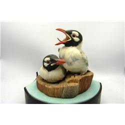 Boehm - Bonapartes' Gulls - Made In England
