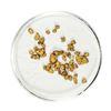 Image 1 : Lot of Gold Nuggets 1.78 Grams Total Weight