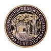 Image 1 : .999 Fine Silver Foxwoods Resort & Casino, MA $40 Casino Limited Edition Gaming Token