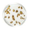 Image 1 : Lot of Gold Nuggets 1.93 Grams Total Weight
