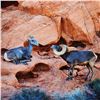Image 2 : Metal art photo of ram & ewe