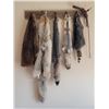 Image 1 : Collection of wild furs from Nevada