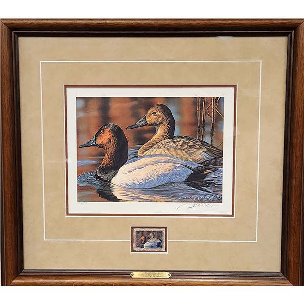 1993 framed Federal Duck Stamp artwork