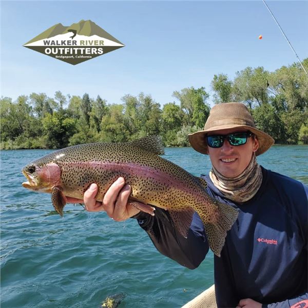 2 DAY NORTHERN CALIFORNIA FLY FISHING TRIP