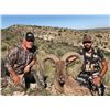 Image 2 : ONE ON ONE, GUIDED FREE RANGE BARBARY SHEEP (AOUDAD) HUNT IN TEXAS