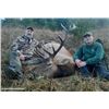 Image 2 : 5-DAY OREGON MUZZLELOADER ROOSEVELT ELK HUNT WITH SPOON CREEK OUTFITTERS