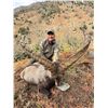 Image 2 : 12-DAY SPANISH IBEX GRAND SLAM WITH IBERHUNTING