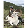 Image 14 : 2023 YUKON DALL SHEEP HUNT WITH MERVYN’S YUKON OUTFITTING