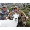 Image 15 : 2023 YUKON DALL SHEEP HUNT WITH MERVYN’S YUKON OUTFITTING