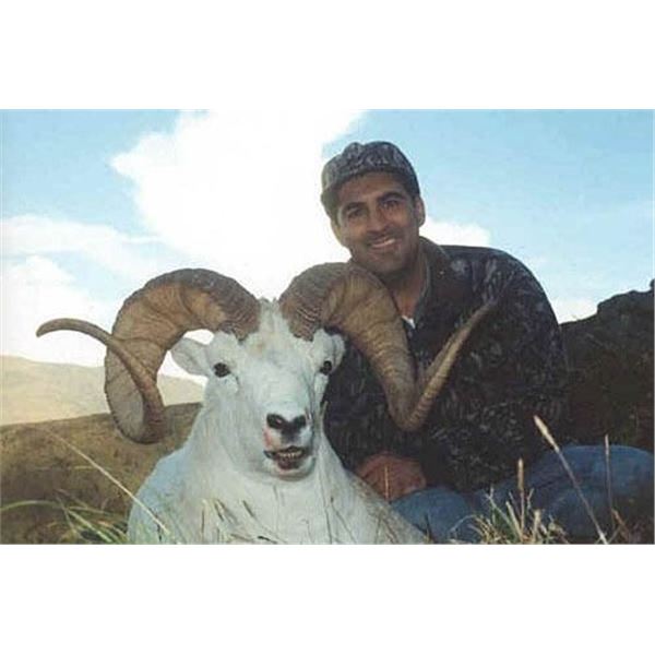 2023 YUKON DALL SHEEP HUNT WITH MERVYN’S YUKON OUTFITTING