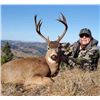 Image 1 : 5-DAY OREGON BLACKTAIL DEER HUNT FOR TWO HUNTERS WITH SPOON CREEK OUTFITTERS