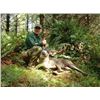 Image 2 : 5-DAY OREGON BLACKTAIL DEER HUNT FOR TWO HUNTERS WITH SPOON CREEK OUTFITTERS