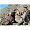 Image 1 : NEVADA  WILDLIFE HERITAGE TAG: CALIFORNIA BIGHORN SHEEP
