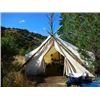 Image 1 : SUMMER HORSE PACK TRIP FOR TWO IN THE JARBIDGE WILDERNESS
