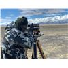 Image 3 : TWO DAY NORTHEASTERN NEVADA SQUIRREL HUNT FOR TWO HUNTERS