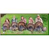 Image 1 : SPRING TURKEY HUNT FOR TWO