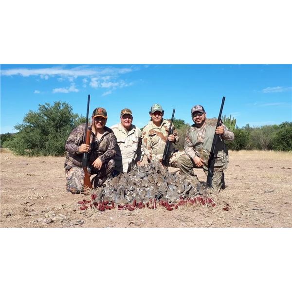 Mexico Dove, Duck & Bass