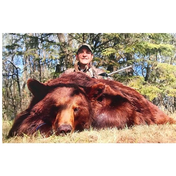Manitoba Black Bear Hunt