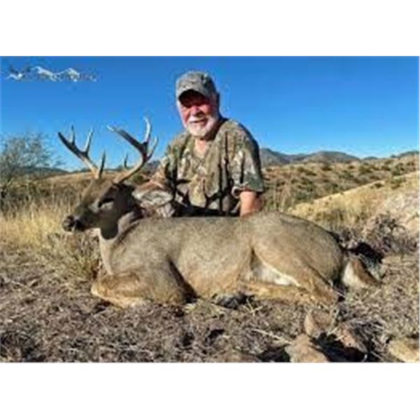 Mexico Coues Deer Archery Hunt