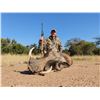 Image 4 : South Africa Plains Game Safari For 2