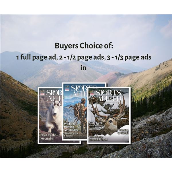 1 Full page ad OR 2 - 1/2-page ads or 3 - 1/3-page ads (lot 1 of 2)