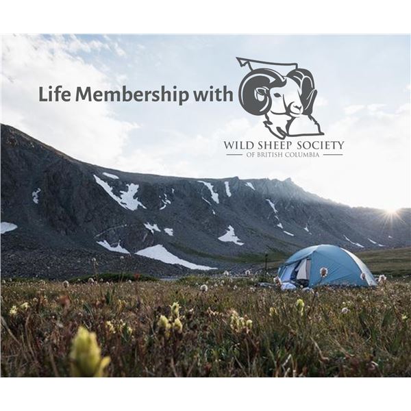 Life Membership in Wild Sheep Society of BC