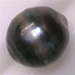 12 MM BLACK TAHITIAN PEARL - UNDRILLED