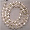Image 1 : 7 MM JAPANESE AKOYA PEARL STRAND - 16 INCHES