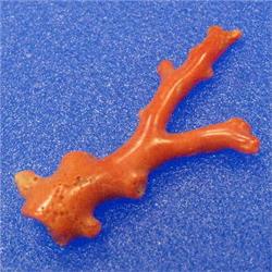 13.50 CTS NATURAL ITALIAN CORAL BRANCH 40x20 MM