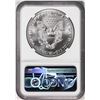 Image 2 : 2021 Ty.1 $1 American Silver Eagle Coin NGC MS70