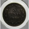 Image 1 : 1880 NEWFOUNDLAND 5 CENTS SILVER COIN