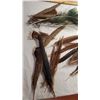Image 2 : 35 Ceremonial Feathers-various styles and sizes