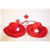 Image 5 : (3) Canada Hats, a headband and Pair of Mitts