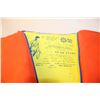 Image 3 : (2)Life Jackets