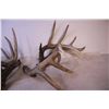 Image 5 : (9) Deer Sheds