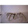 Image 7 : (9) Deer Sheds