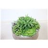 Image 2 : Artificial Succulent Plant in Pot