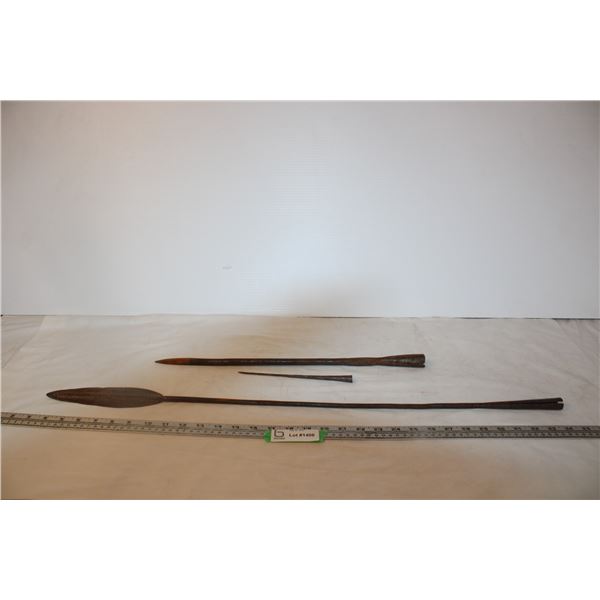 (3) African Spear Tips