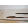 Image 3 : (3) African Spear Tips