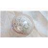 Image 2 : Multi signed (facsimile) baseball in case