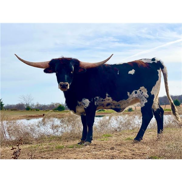 SEE4's Samantha Jean 3/28