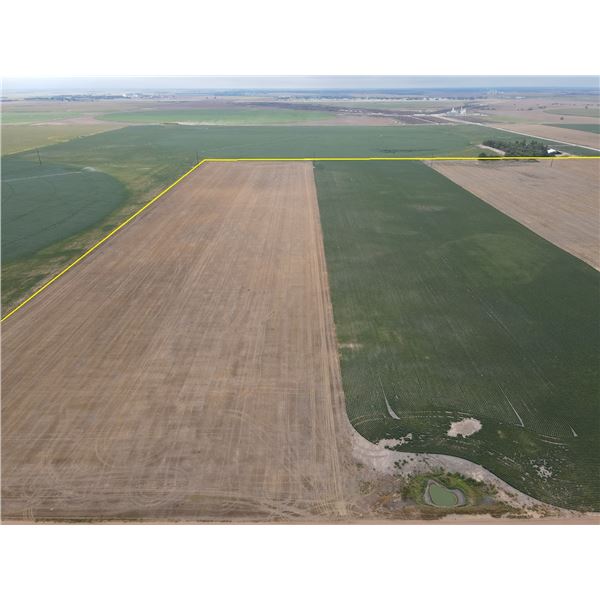 152 +/- Acres of Dryland