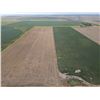 Image 1 : 152 +/- Acres of Dryland