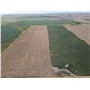 Image 2 : 152 +/- Acres of Dryland