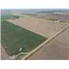 Image 3 : 152 +/- Acres of Dryland