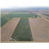 Image 4 : 152 +/- Acres of Dryland