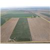 Image 6 : 152 +/- Acres of Dryland